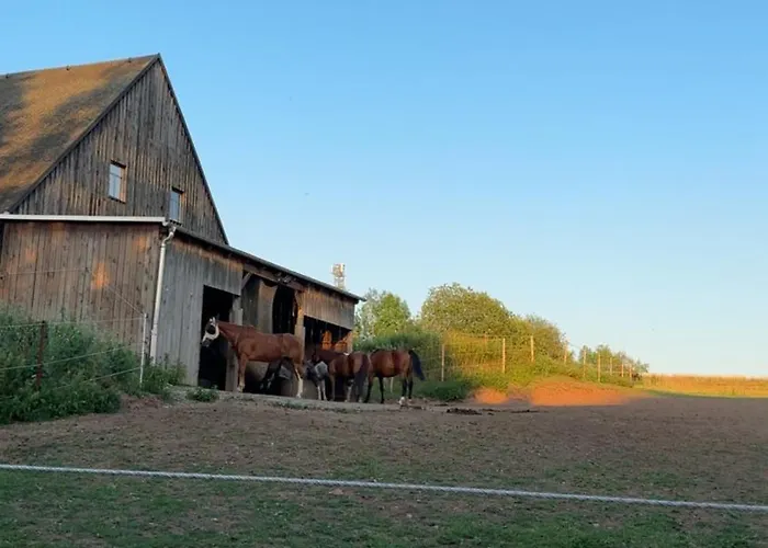 Jasmin A Hostel Chemnitz